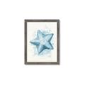 Picture of Teal Starfish _GroupedProduct_Rectangle_Portrait_Framed_Matted_
