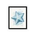 Picture of Teal Starfish _GroupedProduct_Rectangle_Portrait_Framed_Matted_