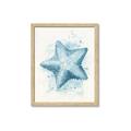 Picture of Teal Starfish _GroupedProduct_Rectangle_Portrait_Framed_Matted_