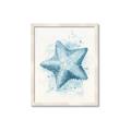 Picture of Teal Starfish _GroupedProduct_Rectangle_Portrait_Framed_Matted_