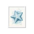 Picture of Teal Starfish _GroupedProduct_Rectangle_Portrait_Framed_Matted_