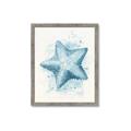 Picture of Teal Starfish _GroupedProduct_Rectangle_Portrait_Framed_Matted_