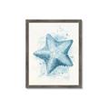 Picture of Teal Starfish _GroupedProduct_Rectangle_Portrait_Framed_Matted_