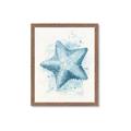 Picture of Teal Starfish _GroupedProduct_Rectangle_Portrait_Framed_Matted_