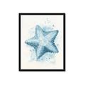 Picture of Teal Starfish _GroupedProduct_Rectangle_Portrait_Framed_Matted_
