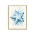 Picture of Teal Starfish _GroupedProduct_Rectangle_Portrait_Framed_Matted_
