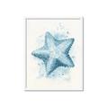 Picture of Teal Starfish _GroupedProduct_Rectangle_Portrait_Framed_Matted_