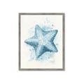 Picture of Teal Starfish _GroupedProduct_Rectangle_Portrait_Framed_Matted_