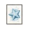 Picture of Teal Starfish _GroupedProduct_Rectangle_Portrait_Framed_Matted_