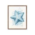 Picture of Teal Starfish _GroupedProduct_Rectangle_Portrait_Framed_Matted_