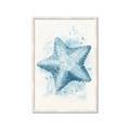 Picture of Teal Starfish _GroupedProduct_Rectangle_Portrait_Framed_Matted_