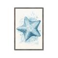 Picture of Teal Starfish _GroupedProduct_Rectangle_Portrait_Framed_Matted_