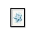 Picture of Teal Starfish _GroupedProduct_Rectangle_Portrait_Framed_Matted_
