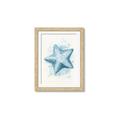 Picture of Teal Starfish _GroupedProduct_Rectangle_Portrait_Framed_Matted_