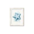 Picture of Teal Starfish _GroupedProduct_Rectangle_Portrait_Framed_Matted_
