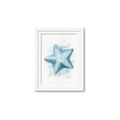 Picture of Teal Starfish _GroupedProduct_Rectangle_Portrait_Framed_Matted_