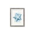 Picture of Teal Starfish _GroupedProduct_Rectangle_Portrait_Framed_Matted_