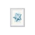 Picture of Teal Starfish _GroupedProduct_Rectangle_Portrait_Framed_Matted_