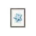 Picture of Teal Starfish _GroupedProduct_Rectangle_Portrait_Framed_Matted_