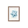 Picture of Teal Starfish _GroupedProduct_Rectangle_Portrait_Framed_Matted_