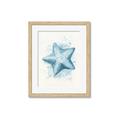 Picture of Teal Starfish _GroupedProduct_Rectangle_Portrait_Framed_Matted_