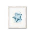 Picture of Teal Starfish _GroupedProduct_Rectangle_Portrait_Framed_Matted_