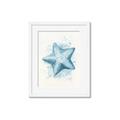 Picture of Teal Starfish _GroupedProduct_Rectangle_Portrait_Framed_Matted_
