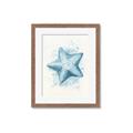 Picture of Teal Starfish _GroupedProduct_Rectangle_Portrait_Framed_Matted_
