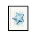 Picture of Teal Starfish _GroupedProduct_Rectangle_Portrait_Framed_Matted_