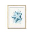 Picture of Teal Starfish _GroupedProduct_Rectangle_Portrait_Framed_Matted_