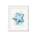 Picture of Teal Starfish _GroupedProduct_Rectangle_Portrait_Framed_Matted_