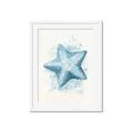 Picture of Teal Starfish _GroupedProduct_Rectangle_Portrait_Framed_Matted_