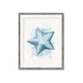 Picture of Teal Starfish _GroupedProduct_Rectangle_Portrait_Framed_Matted_