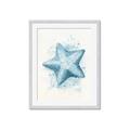 Picture of Teal Starfish _GroupedProduct_Rectangle_Portrait_Framed_Matted_