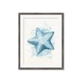Picture of Teal Starfish _GroupedProduct_Rectangle_Portrait_Framed_Matted_