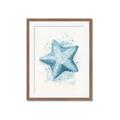 Picture of Teal Starfish _GroupedProduct_Rectangle_Portrait_Framed_Matted_