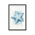 Picture of Teal Starfish _GroupedProduct_Rectangle_Portrait_Framed_Matted_