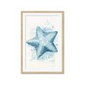 Picture of Teal Starfish _GroupedProduct_Rectangle_Portrait_Framed_Matted_