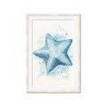 Picture of Teal Starfish _GroupedProduct_Rectangle_Portrait_Framed_Matted_
