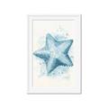 Picture of Teal Starfish _GroupedProduct_Rectangle_Portrait_Framed_Matted_