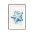 Picture of Teal Starfish _GroupedProduct_Rectangle_Portrait_Framed_Matted_