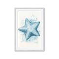 Picture of Teal Starfish _GroupedProduct_Rectangle_Portrait_Framed_Matted_
