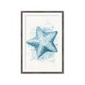 Picture of Teal Starfish _GroupedProduct_Rectangle_Portrait_Framed_Matted_