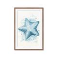 Picture of Teal Starfish _GroupedProduct_Rectangle_Portrait_Framed_Matted_