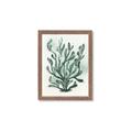Picture of Green Grass _GroupedProduct_Rectangle_Portrait_Framed_Matted_