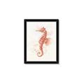 Picture of Coral Seahorse _GroupedProduct_Rectangle_Portrait_Framed_Matted_