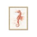 Picture of Coral Seahorse _GroupedProduct_Rectangle_Portrait_Framed_Matted_