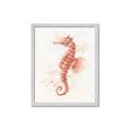 Picture of Coral Seahorse _GroupedProduct_Rectangle_Portrait_Framed_Matted_