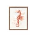 Picture of Coral Seahorse _GroupedProduct_Rectangle_Portrait_Framed_Matted_