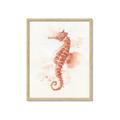 Picture of Coral Seahorse _GroupedProduct_Rectangle_Portrait_Framed_Matted_